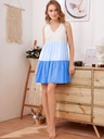 Northline Colorblock Sleeveless Dress