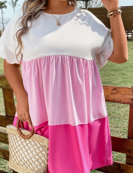 Northline Colorblock Flounce Sleeve Pink Dress