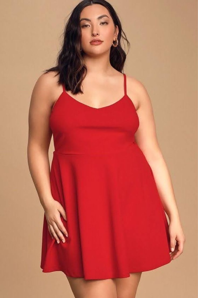 Northline Red Mini Skater Dress