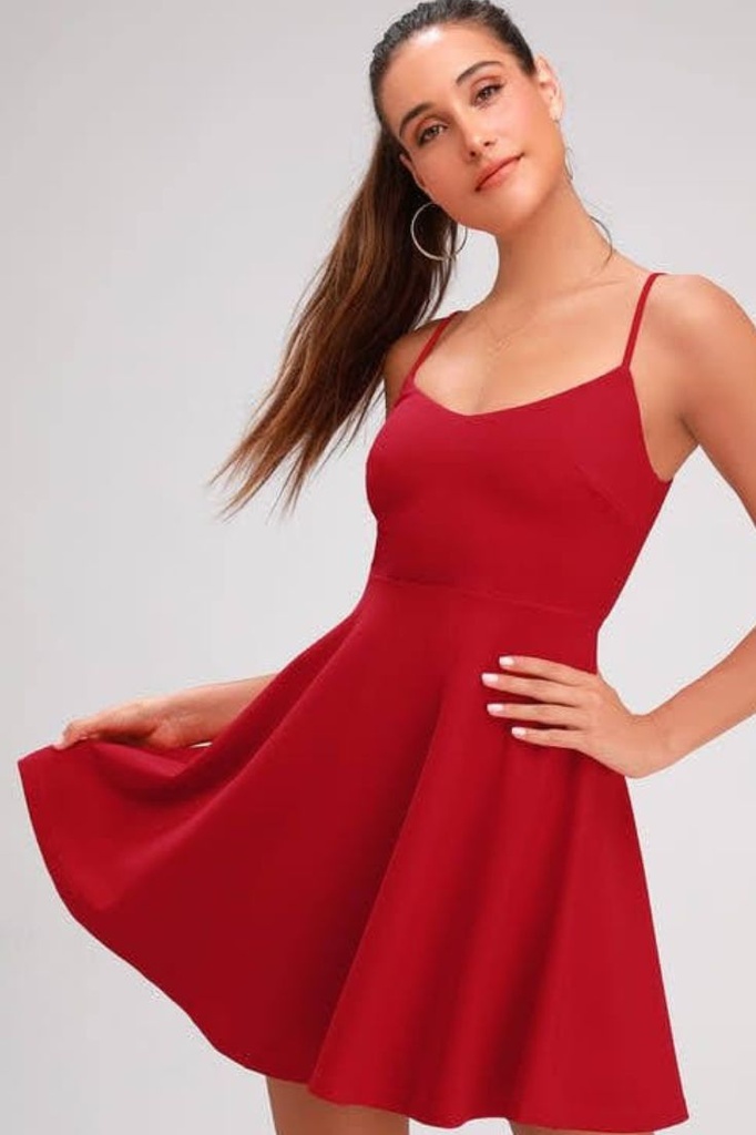 Northline Mini Skater Dress